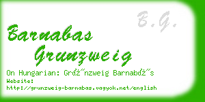 barnabas grunzweig business card